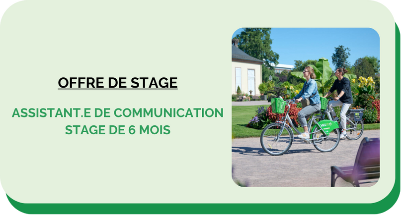 Stage Assistant.e de Communication